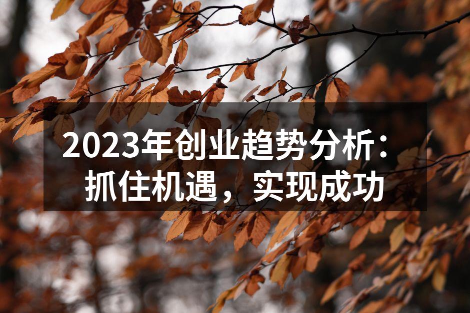 数字化转型助力创业成功