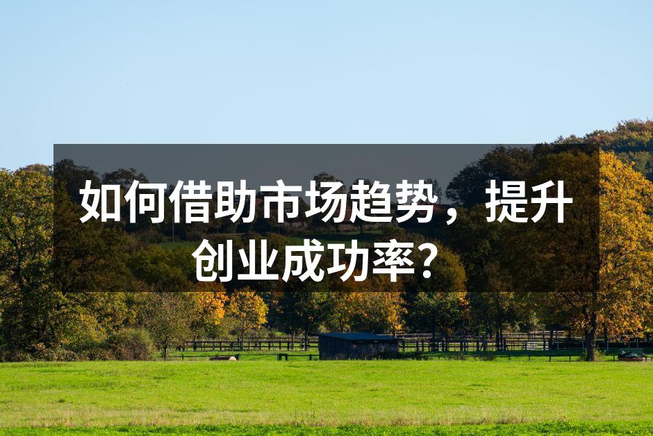 如何借助市场趋势，提升创业成功率？
