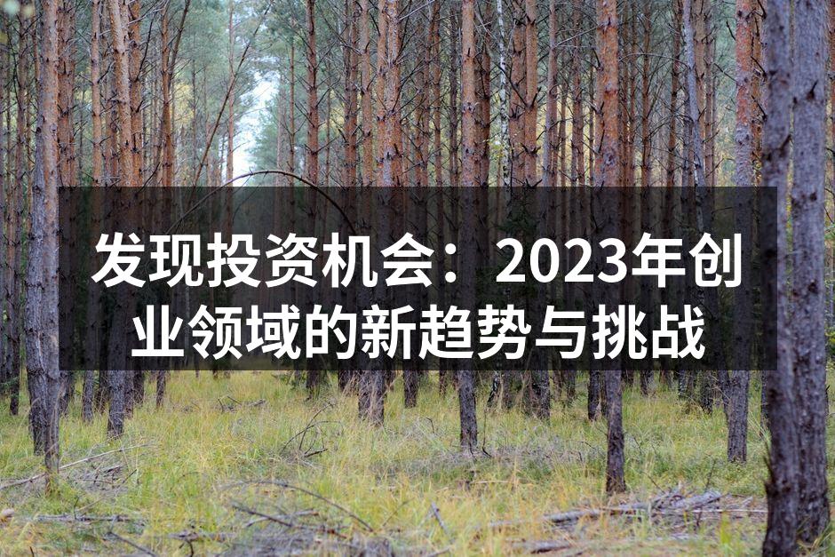 发现投资机会：2023年创业领域的新趋势与挑战